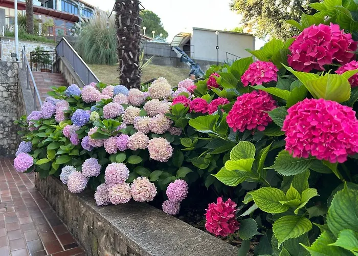 Mali Stan Опатия